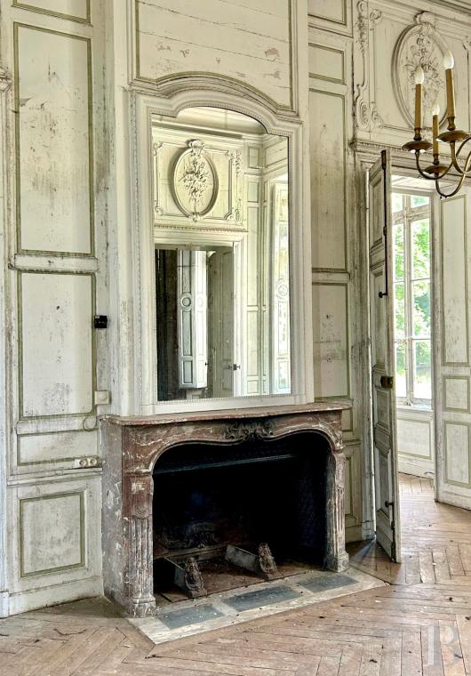 chateaux a vendre centre val de loire   - 7